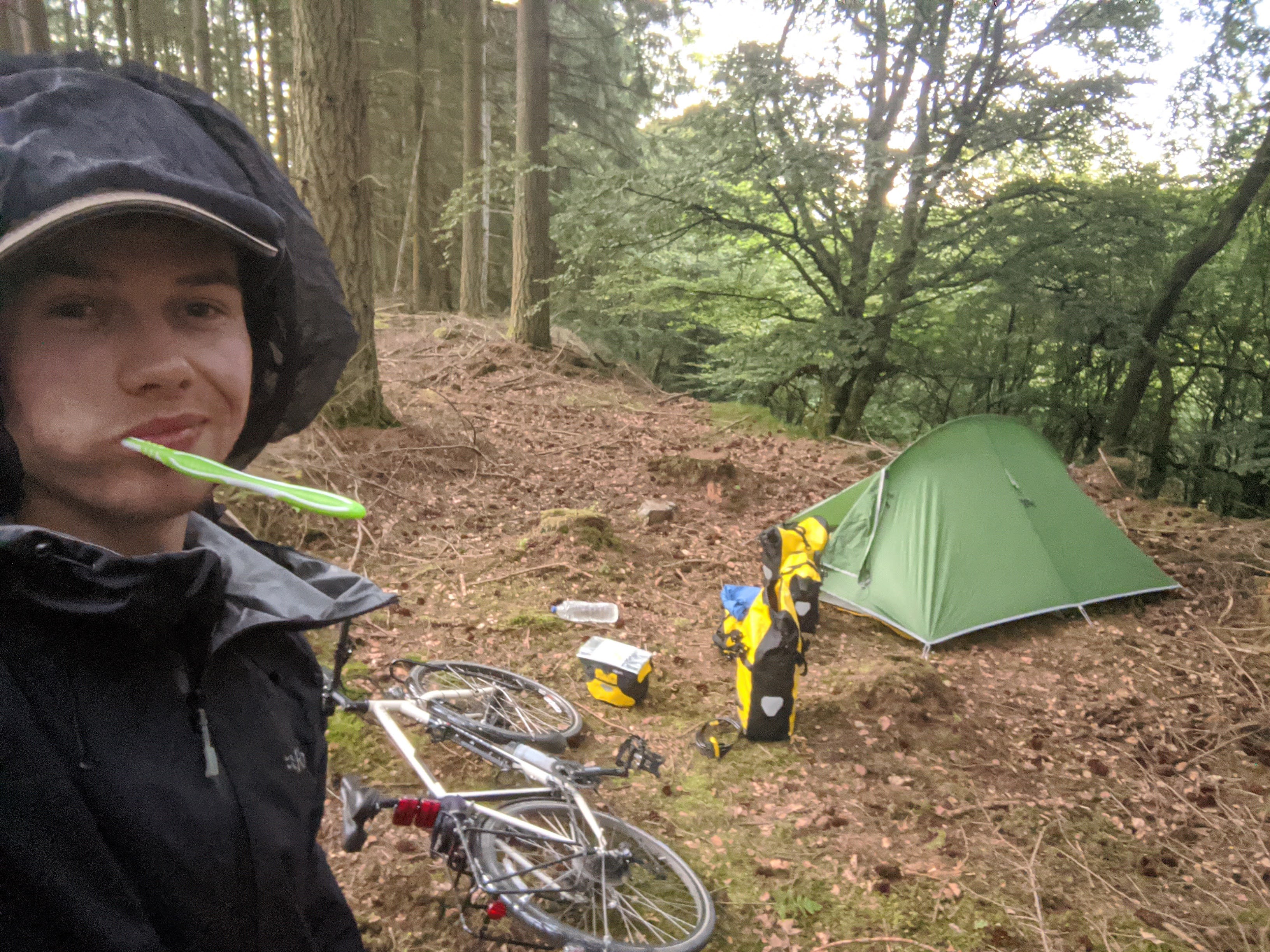 Tent in a forest by Dunkeld